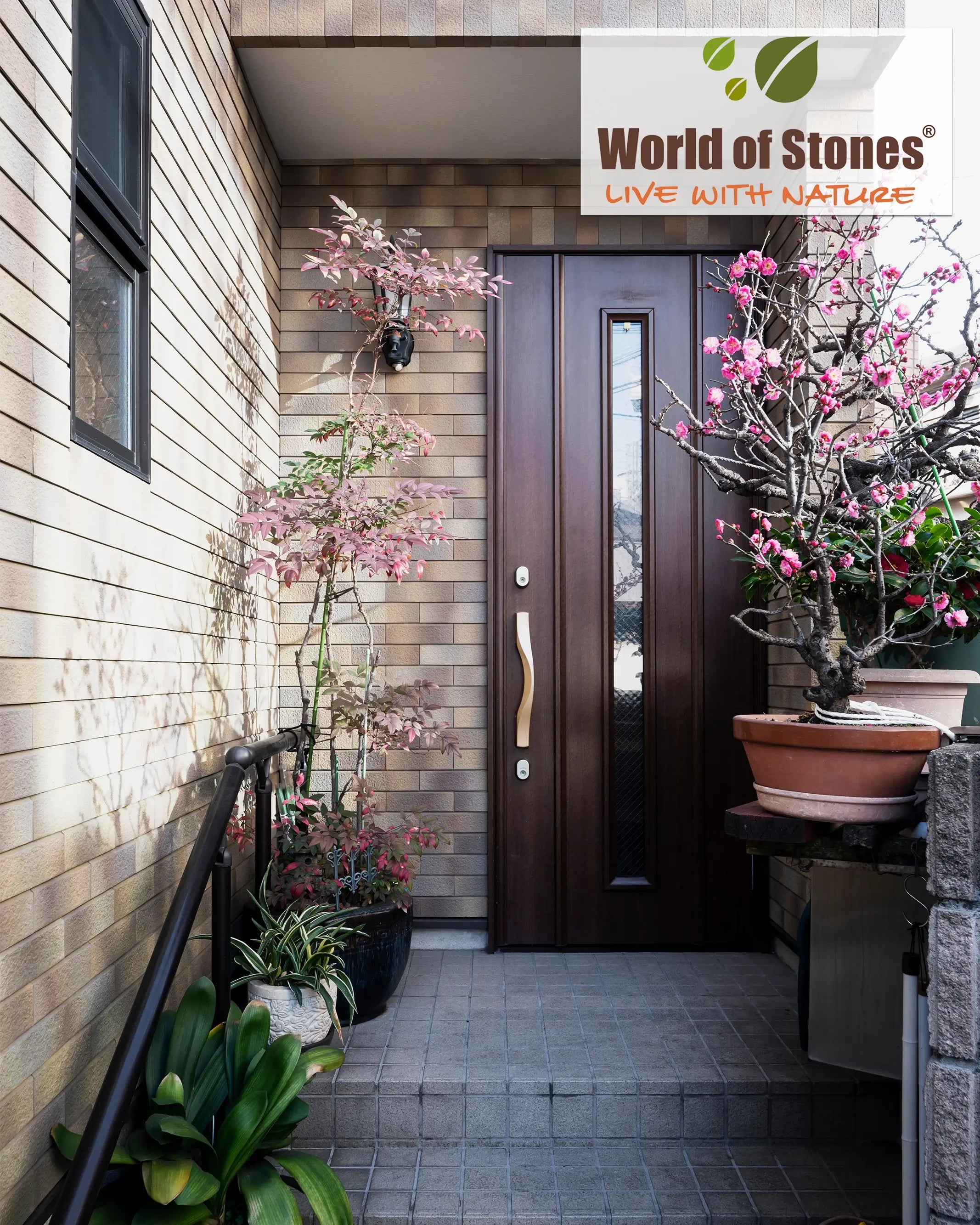 9 Distinctive Front Door Planters Ideas to Add Personality