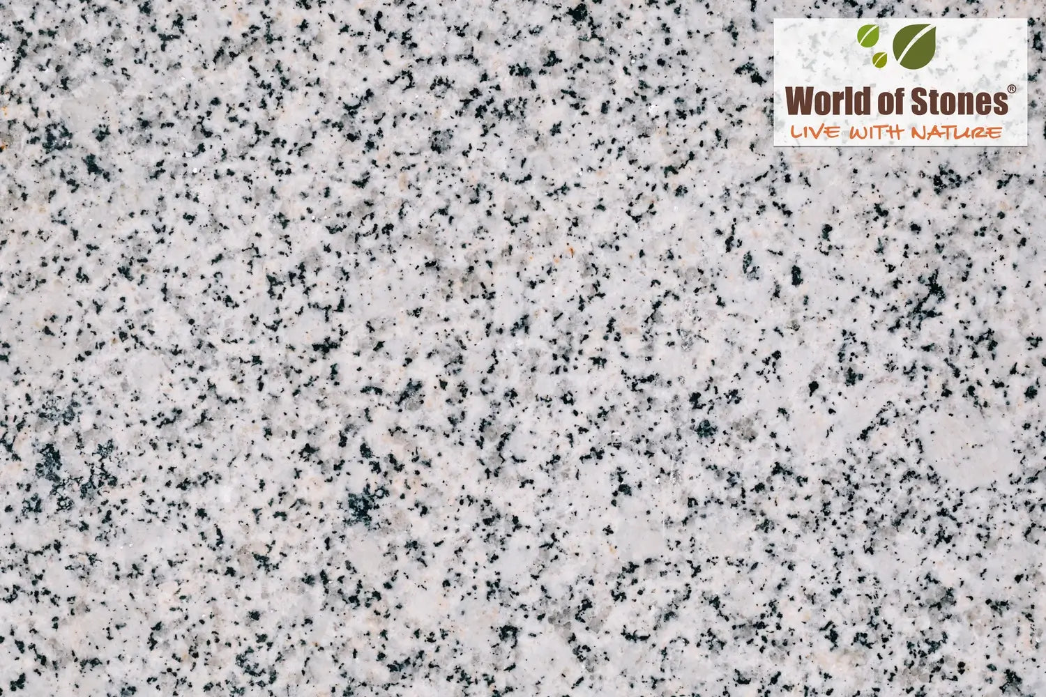 rajasthan granite colours