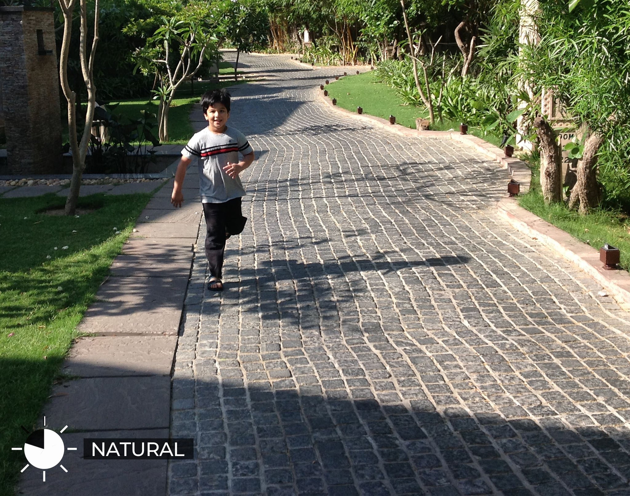 Limestone Setts Limestone Setts & Cobbles Collection: Premium Outdoor Stones in India