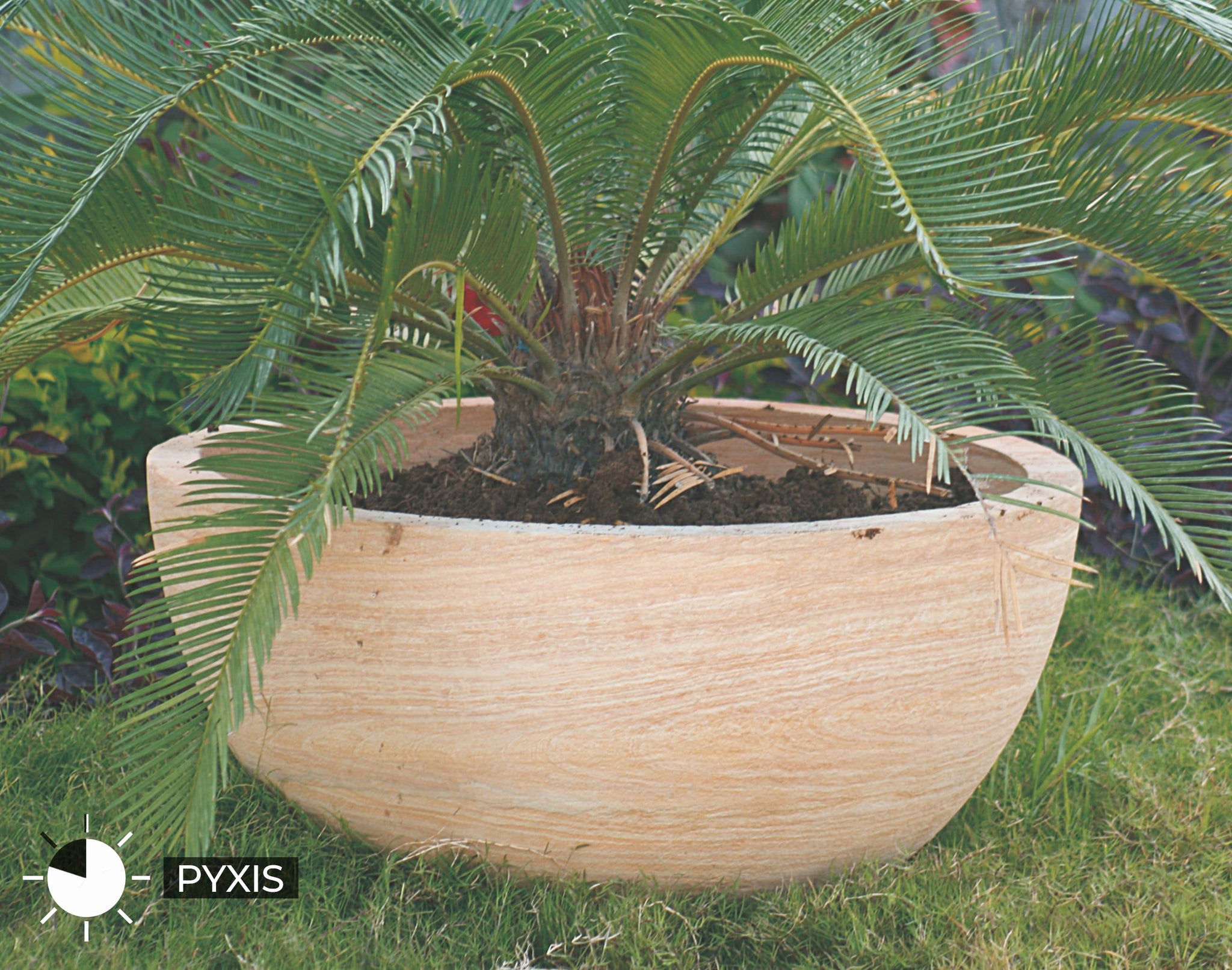 Teak | Natural Stone Planters in India